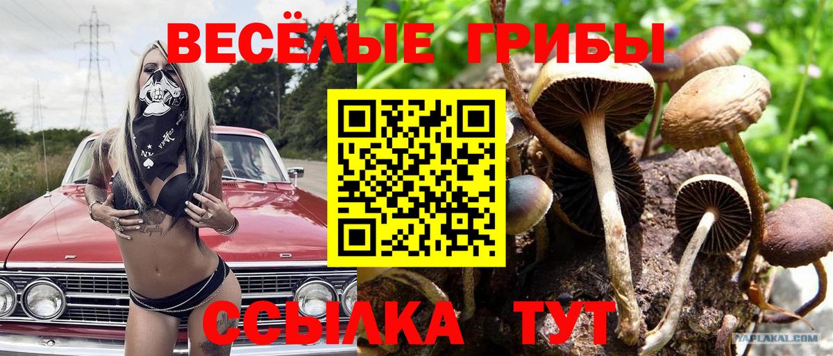 Галлюциногенные грибы MAGIC MUSHROOMS  Галлюциногенные грибы MAGIC MUSHROOMS  Каспийск  Вход с VPN 